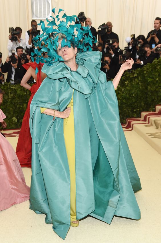 frances mcdormand valentino