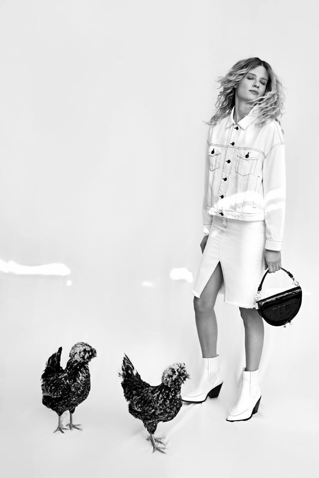 35881943_2098504073511440_6535134040440176640_n