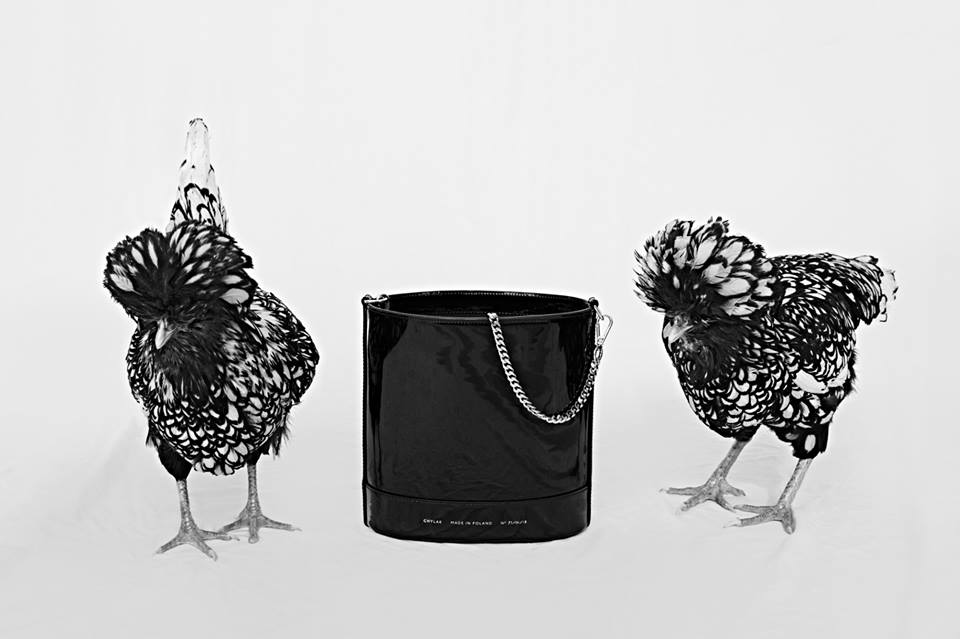 35923769_2098503366844844_3129783393475100672_n