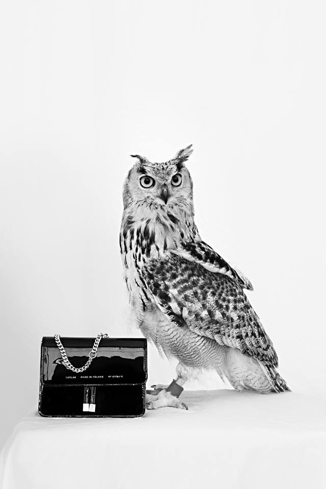 35928782_2098503050178209_3713258802330468352_n