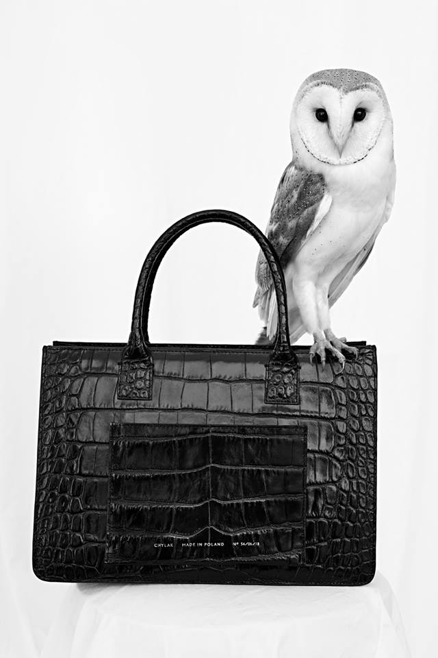 35943697_2098503840178130_1133268133692309504_n