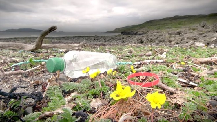 Reaction-Iceland-to-ban-own-brand-plastic-packaging-by-2023_wrbm_large