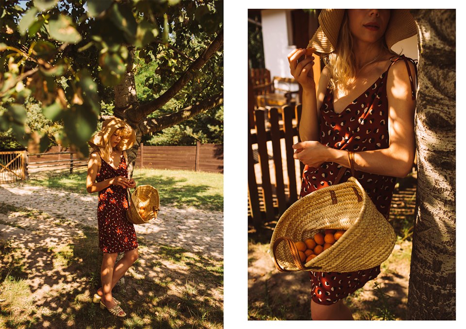 67341639_2799609350052741_7081967927947165696_n