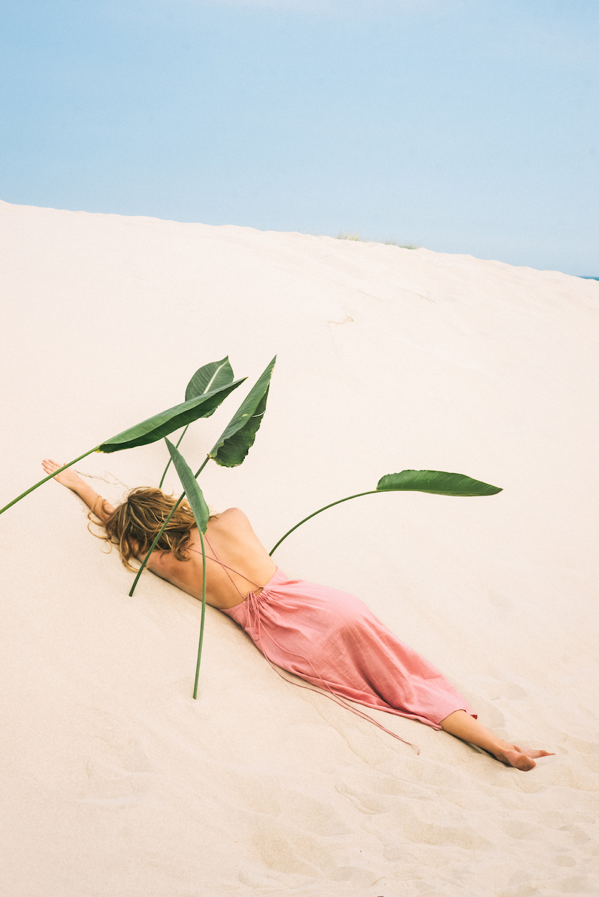 imprm_sunseeker-story-5