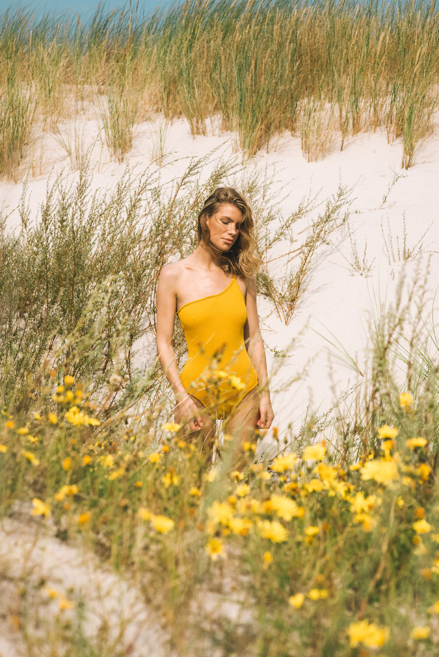 imprm_sunseeker-story-7