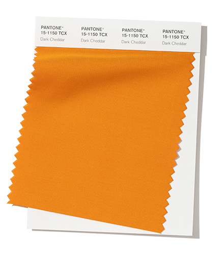 Pantone-Fashion-Color-Trend-Report-New-York-Autumn-Winter-2019-2020-Swatch-Dark-Cheddar